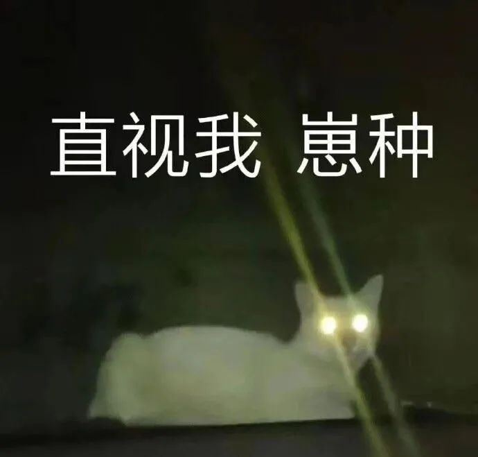 “伪dom”鉴别指南