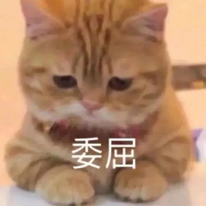 双属性switch的“双倍快乐”!