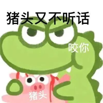 DS相比SM会显得更加高端嘛?