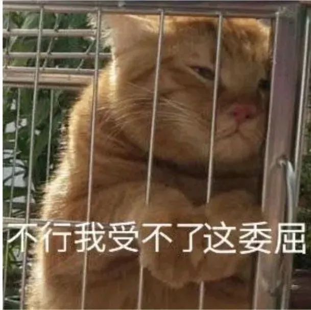 “我是主人的全日制修勾!”