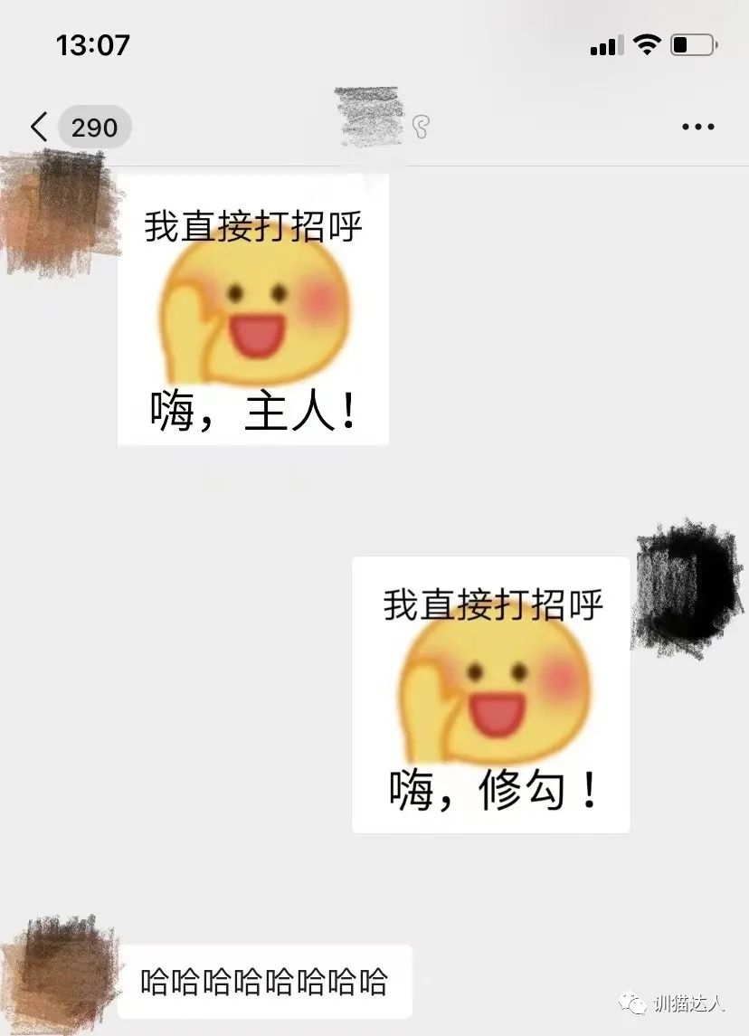 K9、修勾以及区别丨浅谈抖m人数最多的类型
