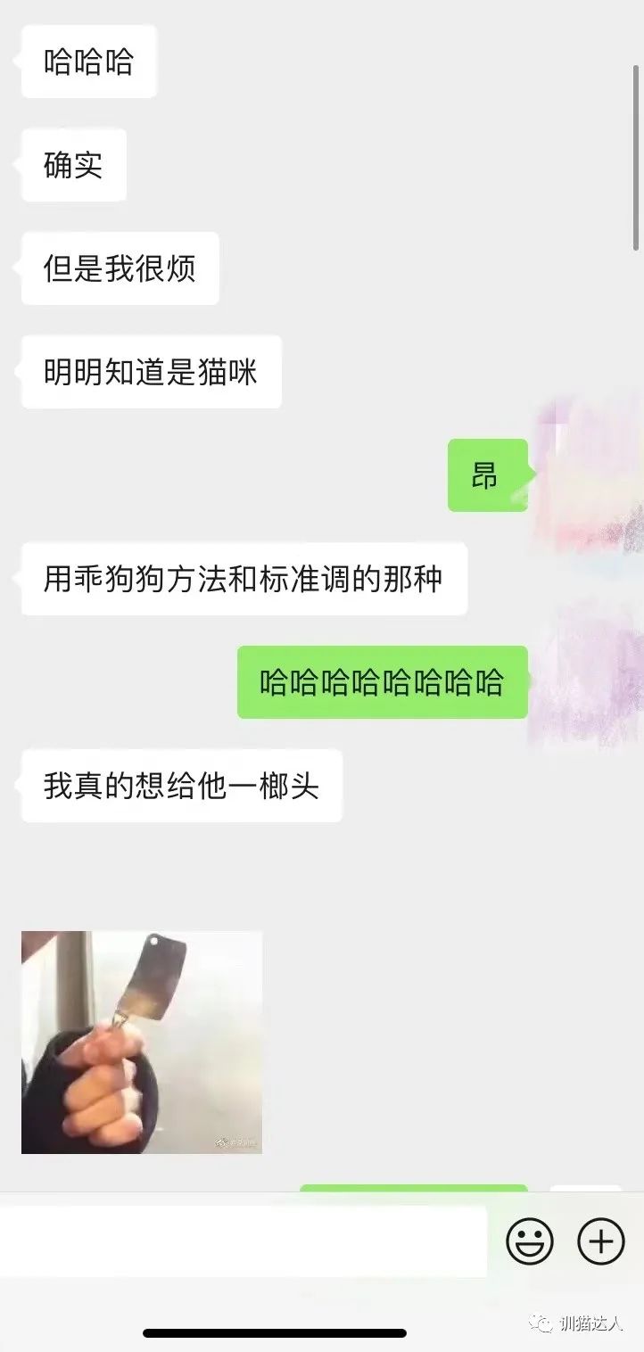 K9、修勾以及区别丨浅谈抖m人数最多的类型