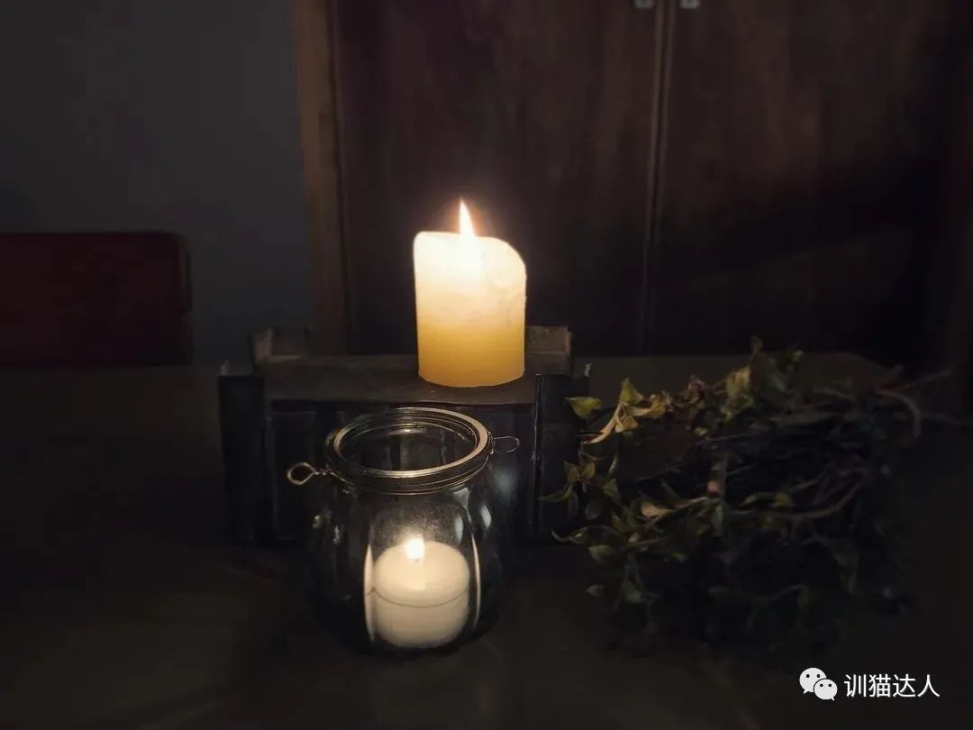 极具艺术性的BDSM项目丨关于“滴蜡”